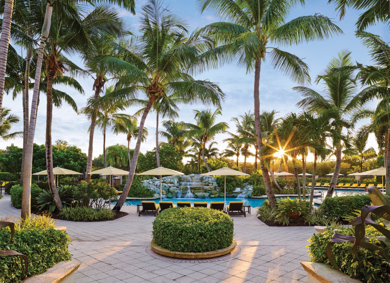 Palms trees flanking a pool deck